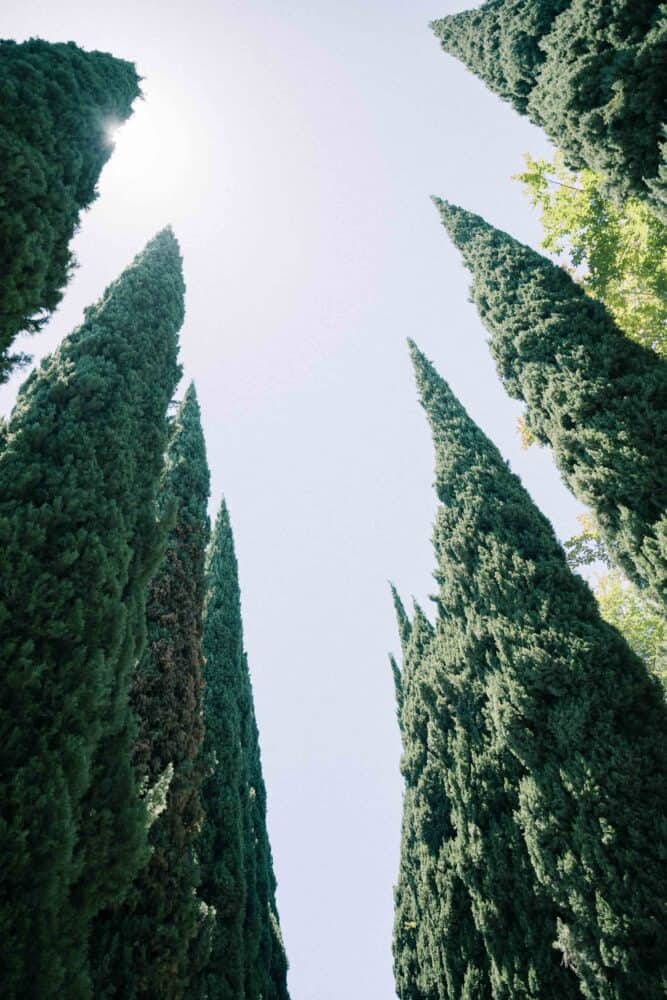 Wedding at Greystone Mansion, Beverly Hills, by Rivelle Media